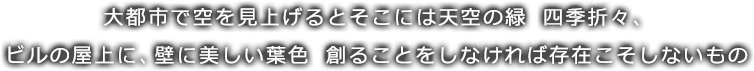 大都市で空を見上げるとそこには天空の緑　四季折々、ビルの屋上に、壁に美しい葉色　創ることをしなければ存在こそしないもの