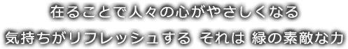 在ることで人々の心がやさしくなる 気持ちがリフレッシュする それは 緑の素敵な力