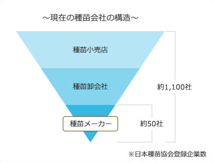 ～現在の種苗会社の構造～