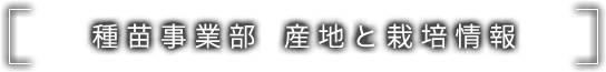 種苗事業部 商品紹介