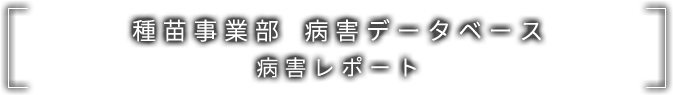 種苗事業部 病害データベース 病害レポート