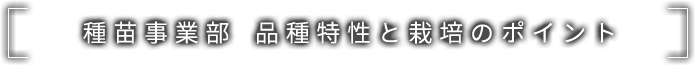 種苗事業部 品種特性と栽培のポイント