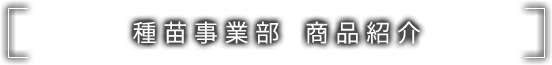 種苗事業部 商品紹介