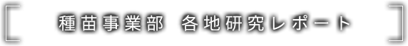 種苗事業部 各地研究レポート