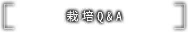 種苗事業部 栽培Q&A