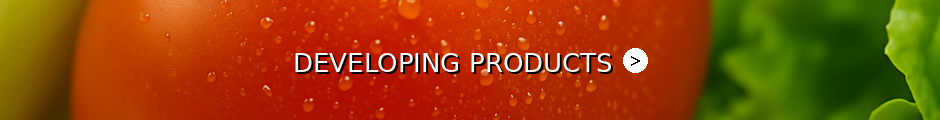 DEVELOPING PRODUCTS